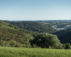 I have seen the Atlantic in the distance for two days . I have seen the Atlantic in the distance for two days .