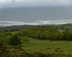 The ocean. The ocean.