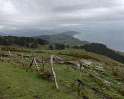 ... and forward ... and forward