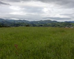 To Deba. Camino del Norte. Spain. To Deba. Camino del Norte. Spain.