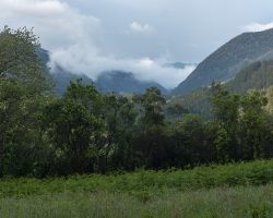 The same gray weather. But enjoyable. To Markina-Xemein. Camino. del Norte. Spain. The same gray weather. But enjoyable. To Markina-Xemein. Camino. del Norte. Spain.