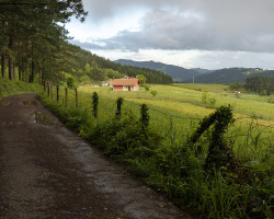 Light and shadow. Light and shadow.