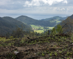 Sometimes you see the sea. Sometimes you see the sea.