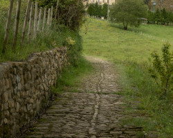 Monestario de Zenarruza. Monestario de Zenarruza.