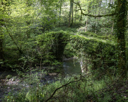 Hidden bridge. Hidden bridge.
