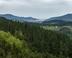 Low tide. The path goes deeper into the land. Low tide. The path goes deeper into the land.