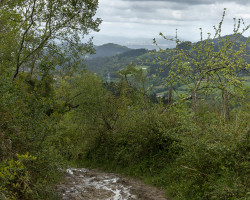 Walking down to Bilbao. Gray sky, muddy and slippery path. Walking down to Bilbao. Gray sky, muddy and slippery path.