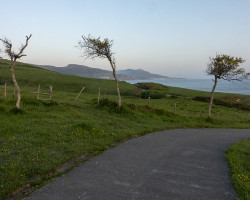 If it's not mud, it's asfalt. If it's not mud, it's asfalt.