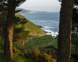 Morning light. Morning light.