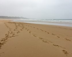 Nice to walk in the water. To Santander. Camino. del Norte. Spain. Nice to walk in the water. To Santander. Camino. del Norte. Spain.