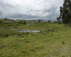 Arriving at Requejada. Camino. del Norte. Spain. Arriving at Requejada. Camino. del Norte. Spain.