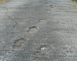 You can see how hard it is to walk to Santiago. You can see how hard it is to walk to Santiago.