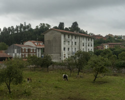 Waiting for the storm.