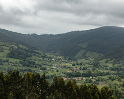 To Gijón. To Gijón.