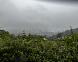 Raining all day long. 20190527-DSC6911-blogg