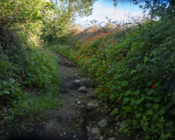 To Luarca. To Luarca.