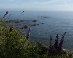 To Luarca. To Luarca.