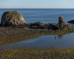 To Ribadeo. To Ribadeo.