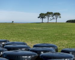 To Ribadeo. Camino del Norte. Spain. To Ribadeo. Camino del Norte. Spain.