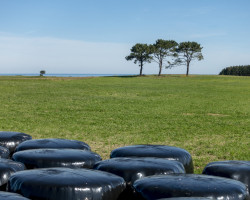 To Ribadeo. To Ribadeo.