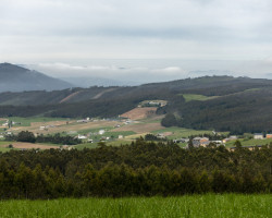 To Lourenza. To Lourenza.