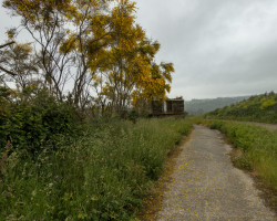 To Vilalba. To Vilalba.