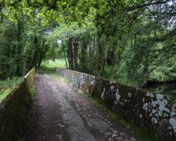 To Vilalba. Camino del Norte. Spain. To Vilalba. Camino del Norte. Spain.