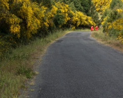 To Baamonde. To Baamonde.