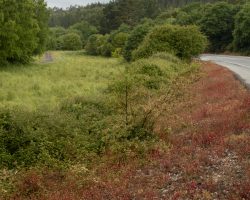 To Mariz. Camino del Norte. Spain. To Mariz. Camino del Norte. Spain.