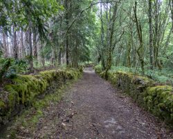 To Mariz. Camino del Norte. Spain. To Mariz. Camino del Norte. Spain.