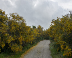 To Sobrado. To Sobrado.