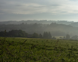 To O Pedrouzo. To O Pedrouzo.