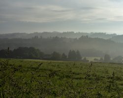 To O Pedrouzo. Camino del Norte. Spain. To O Pedrouzo. Camino del Norte. Spain.