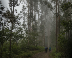 Fairy, isn't it. Just like it is to be arriving. 20190609-DSC7067