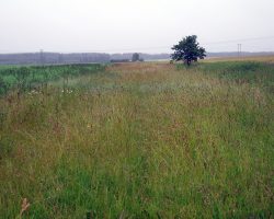 I lost my way. It's raining a lot. I fall in a river for some minutes ago. The grass is one meter high. I'm completly wet. It will be raining all day… To Vadstena. Sweden. I lost my way. It's raining a lot. I fall in a river for some minutes ago. The grass is one meter high. I'm completly wet. It will be raining all day… To Vadstena. Sweden.