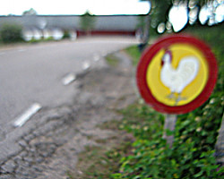 Careful! Hens! To Sundhult. Sweden.