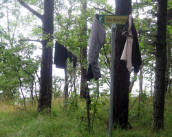 Nothing dry. Nothing. Nothing dry. Nothing.