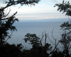 A fantastic view! But I couldn't really enjoy it. A fantastic view! But I couldn't really enjoy it.