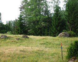 I sometimes follow marked path. To Slätteryd. Sweden.