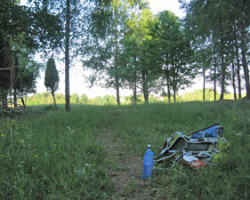 A nice place to spend the night. Well, the cows were curious. To Odensjö. Sweden.