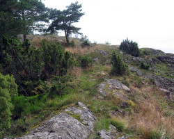 My camino just now. Better than a road! My camino just now. Better than a road!