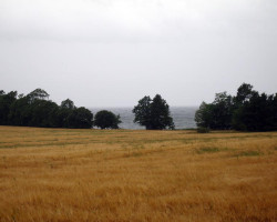 The lake after some more 10 km. It looked and sounded like an ocean! The lake after some more 10 km. It looked and sounded like an ocean!