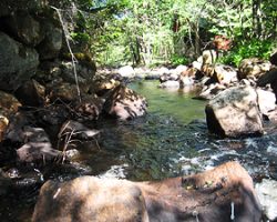 Enough to look at it to quench one's thirst. Enough to look at it to quench one's thirst.