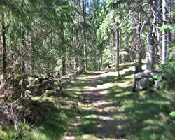 Nice to walk in the shadow. To Voxtorp. Sweden. Nice to walk in the shadow. To Voxtorp. Sweden.