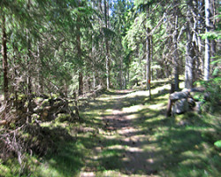 Nice to walk in the shadow. To Voxtorp. Sweden. Nice to walk in the shadow. To Voxtorp. Sweden.