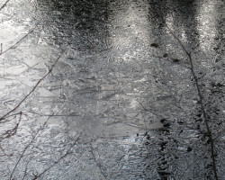 It's still cold! It's still cold!