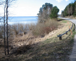 The lake Roxen. The lake Roxen.