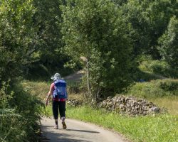 To Pola de Siero. Camino Primitivo. To Pola de Siero. Camino Primitivo.