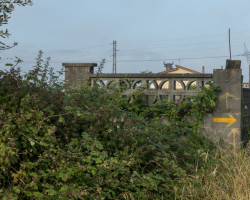 The bull. A bull figure.