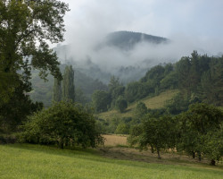 Hills in fog. Hills in fog.